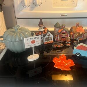 Super cute Fall decor lot. Dome used (doesn’t show) and some new!! Worth $70 new